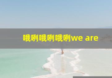 哦咧哦咧哦咧we are